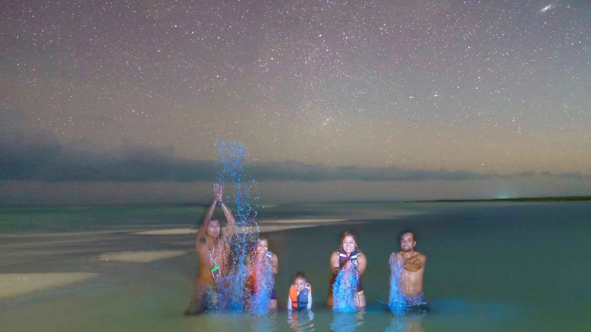 Kayakers paddling through dark water toward the Punta Mosquito sandbars under a star-filled sky on a Holbox bioluminescence tour, Isla Holbox, Mexico