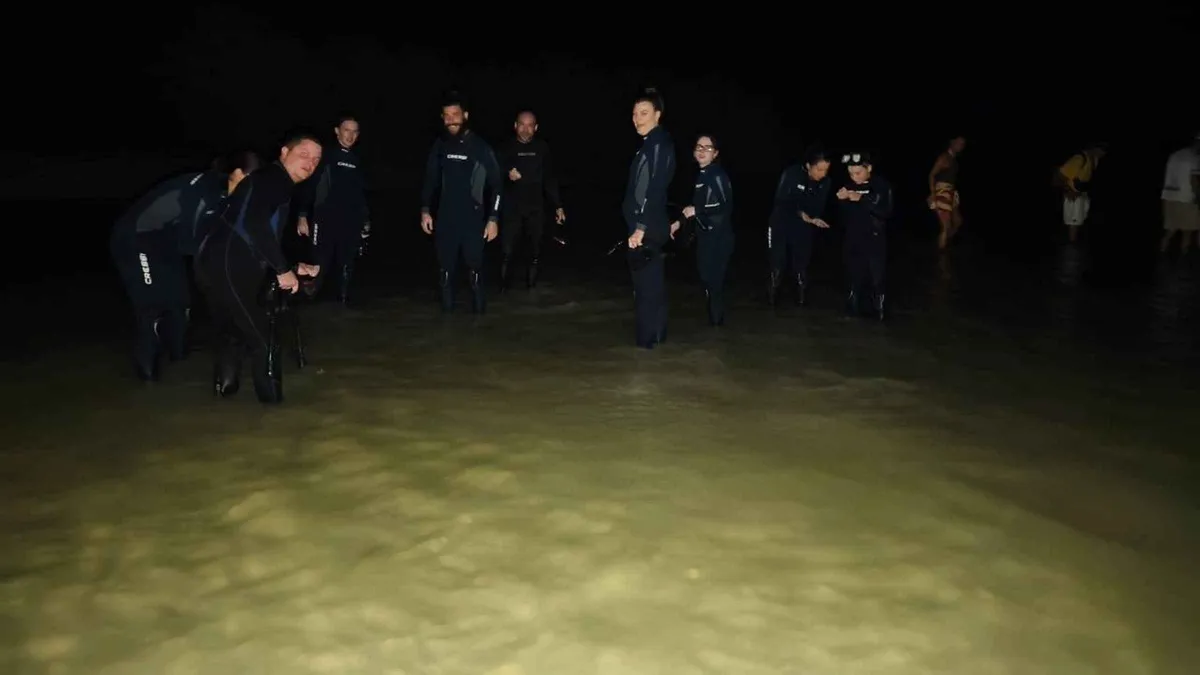 Swimmers in wetsuits standing in shallow floodlit water at night on the Holbox bioluminescence experience, Isla Holbox, Mexico